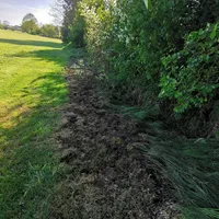 img_20220511_173127.jpg